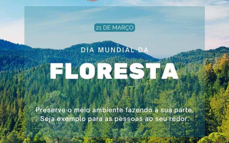 21 DE MARÇO: DIA MUNDIAL DA FLORESTA 